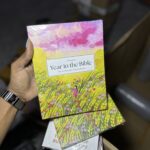 A Beautiful Year in the Bible: The 52-Week Bible Study for Women